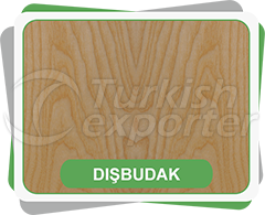 Ash Tree Coating