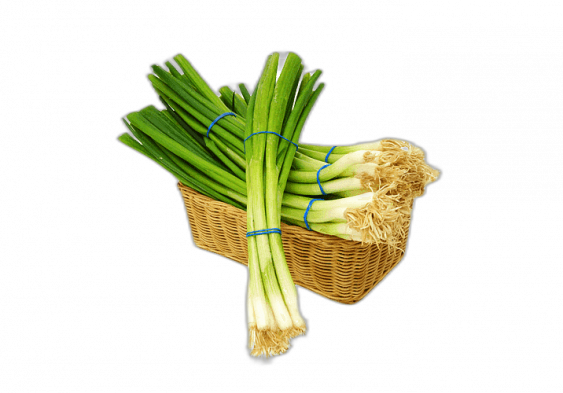 Leek