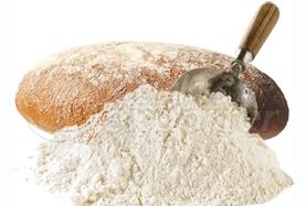 Bread Flour