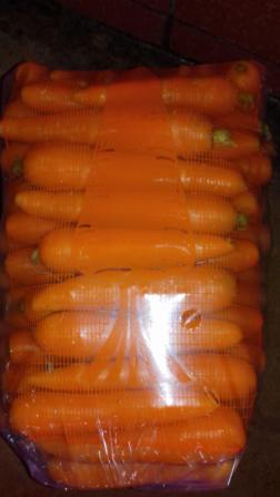 CARROT