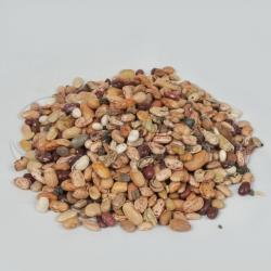 Ethiopian Origin Mix Beans Animal Feed