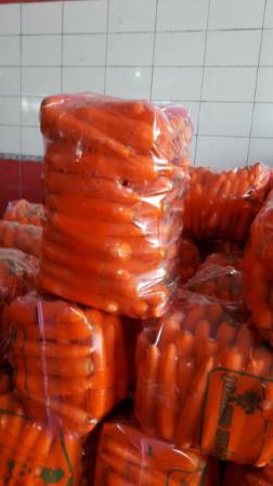 CARROT