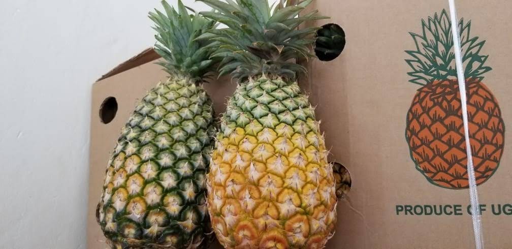 PINEAPPLES