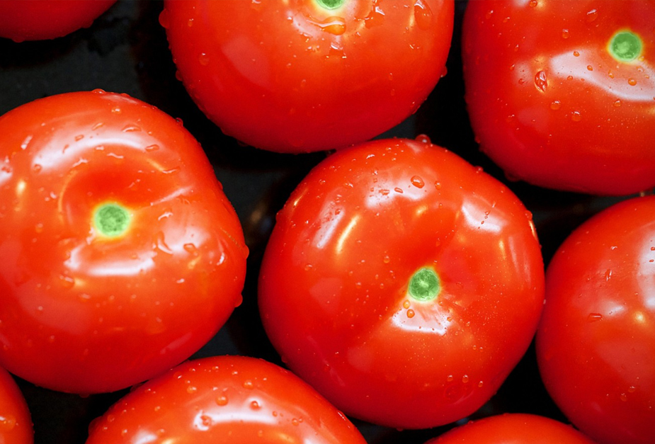 TOMATO