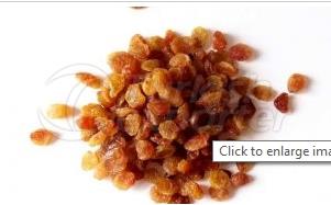 Seedless Raisins