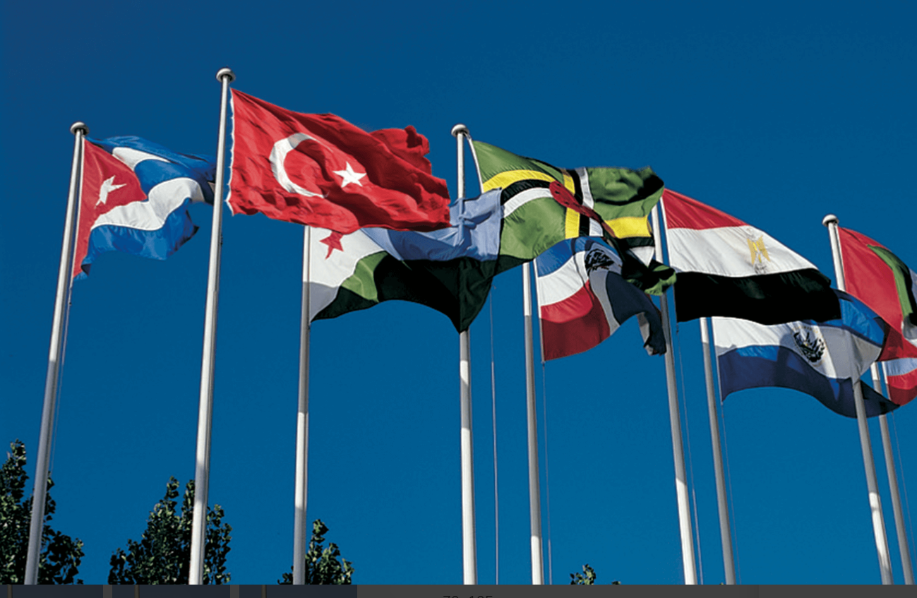 staff flags