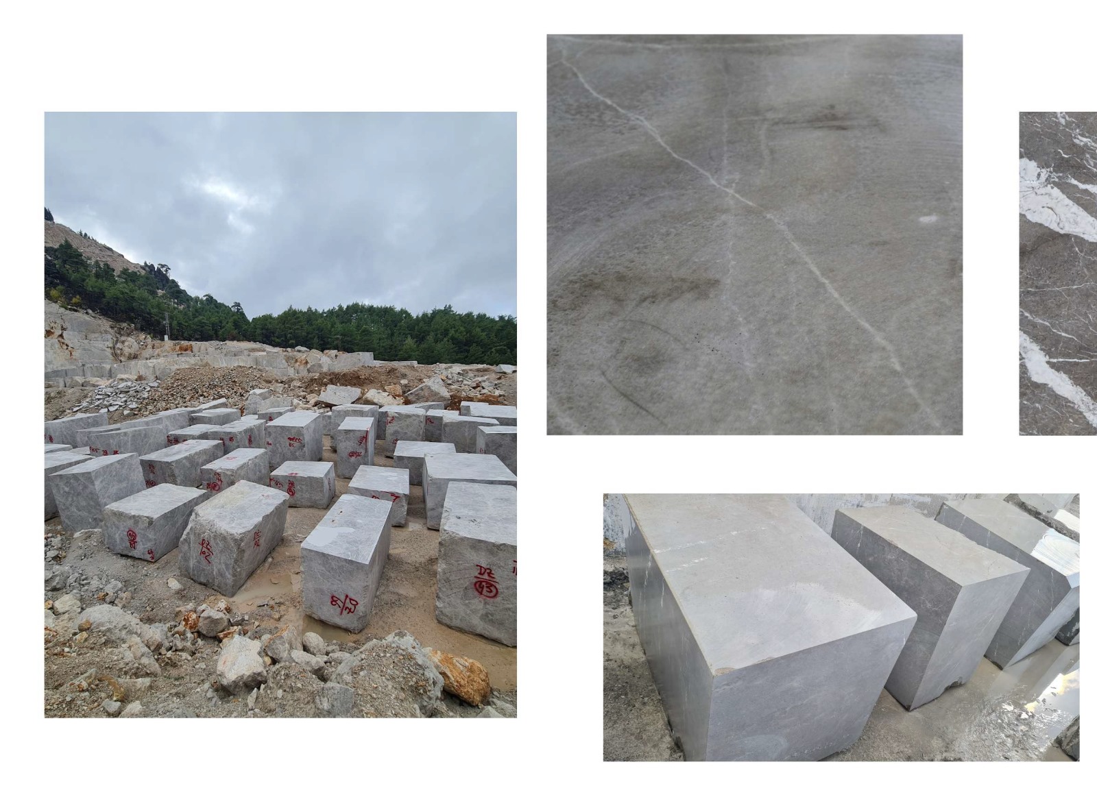 Cyprus Gray Marble