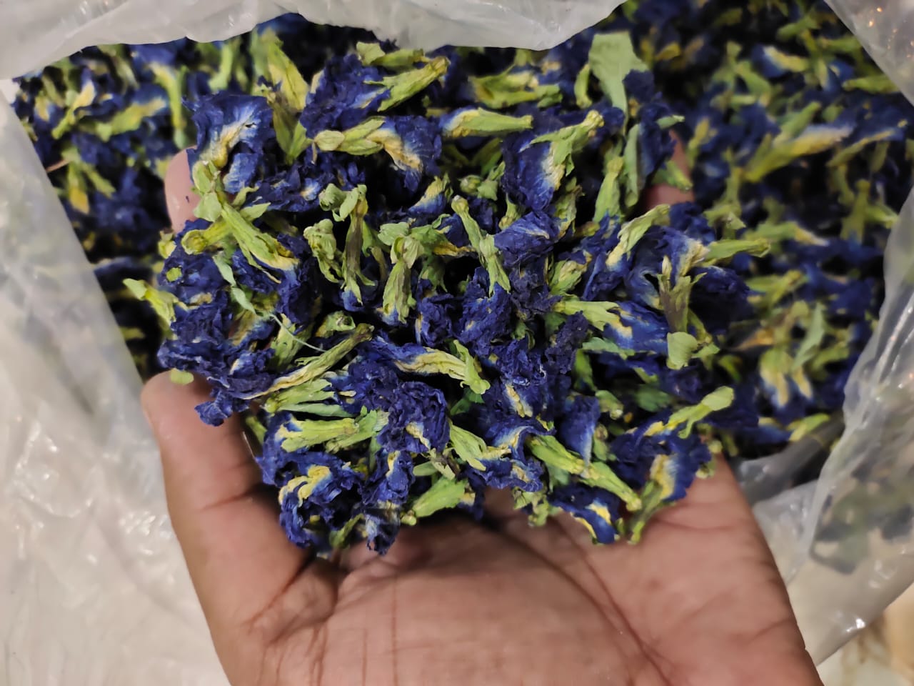 Butterfly Blue Pea Flower Dry