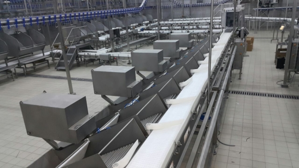 Poultry Processing Line