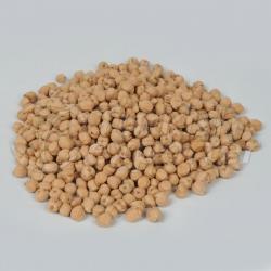 Ethiopian Origin Kabuli Chickpeas