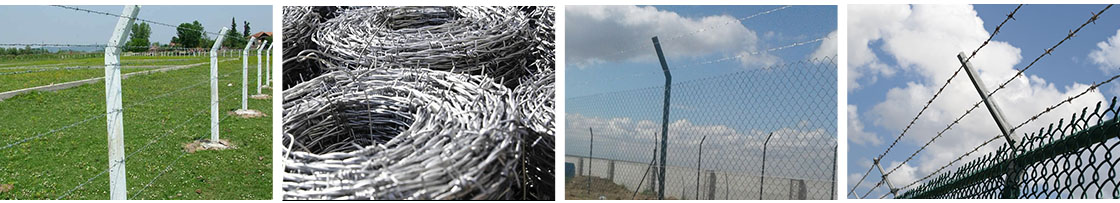 Barbed Wire