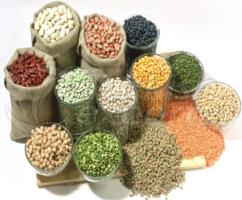 Grains-Pulses