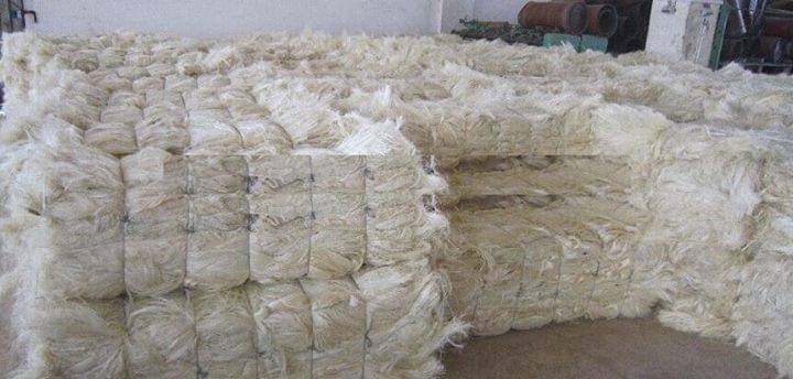 sisal fiber UG AND SS UG 