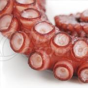 Pierna de pulpo