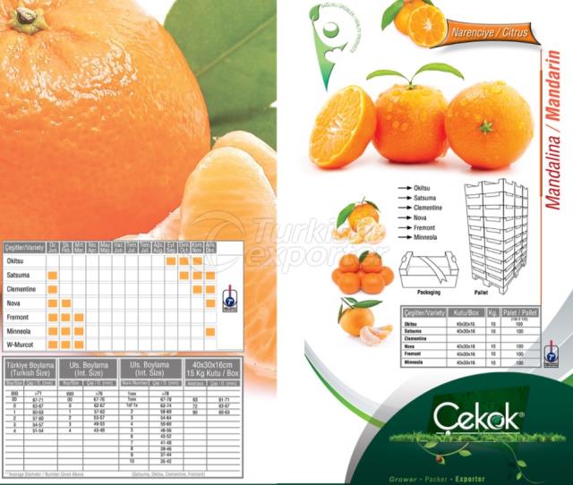 Mandarin
