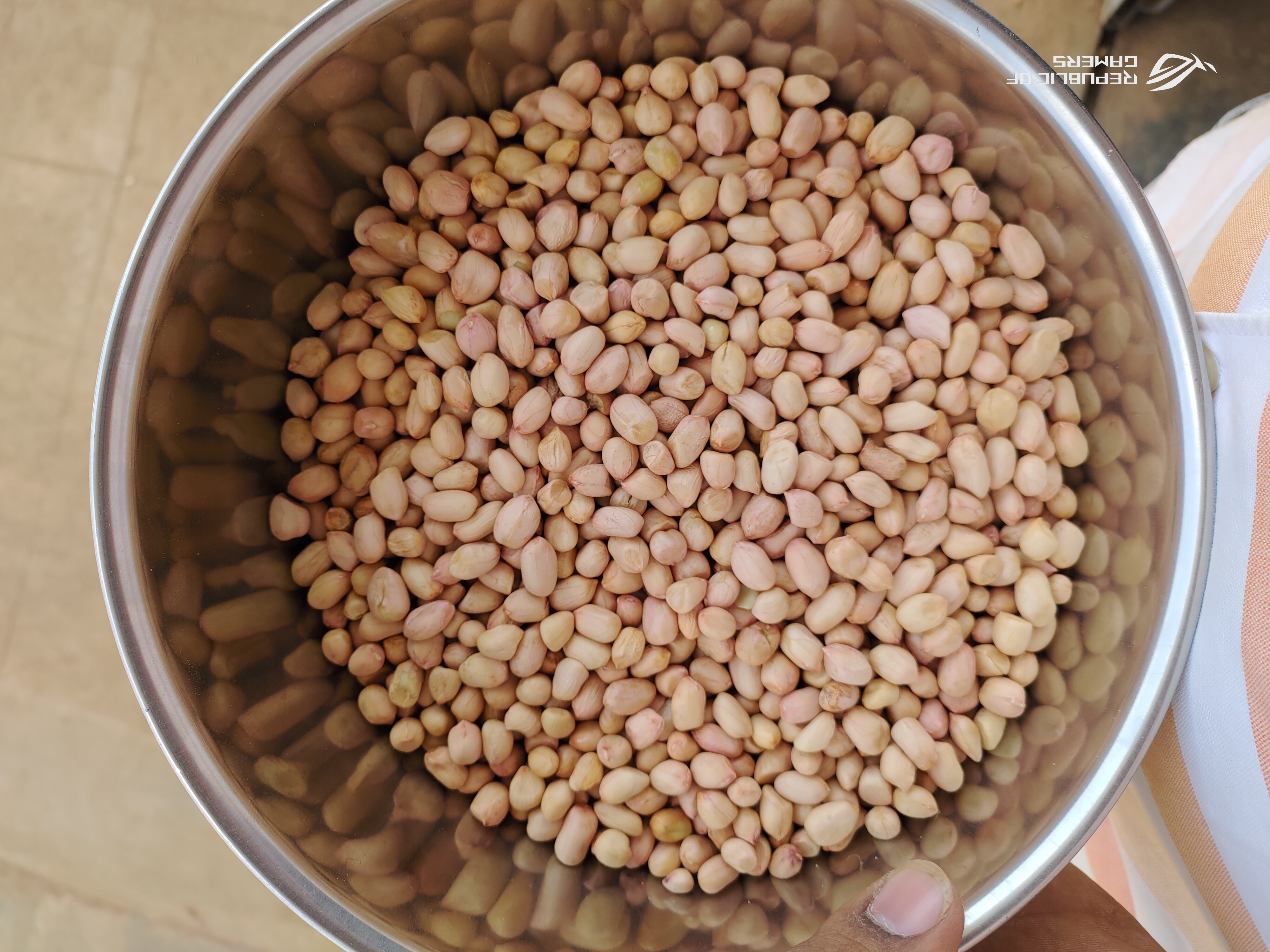 Groundnut seeds