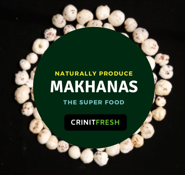 Makhana Foxnut Lotus Seed