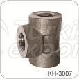 Threaded Pipe Fittings