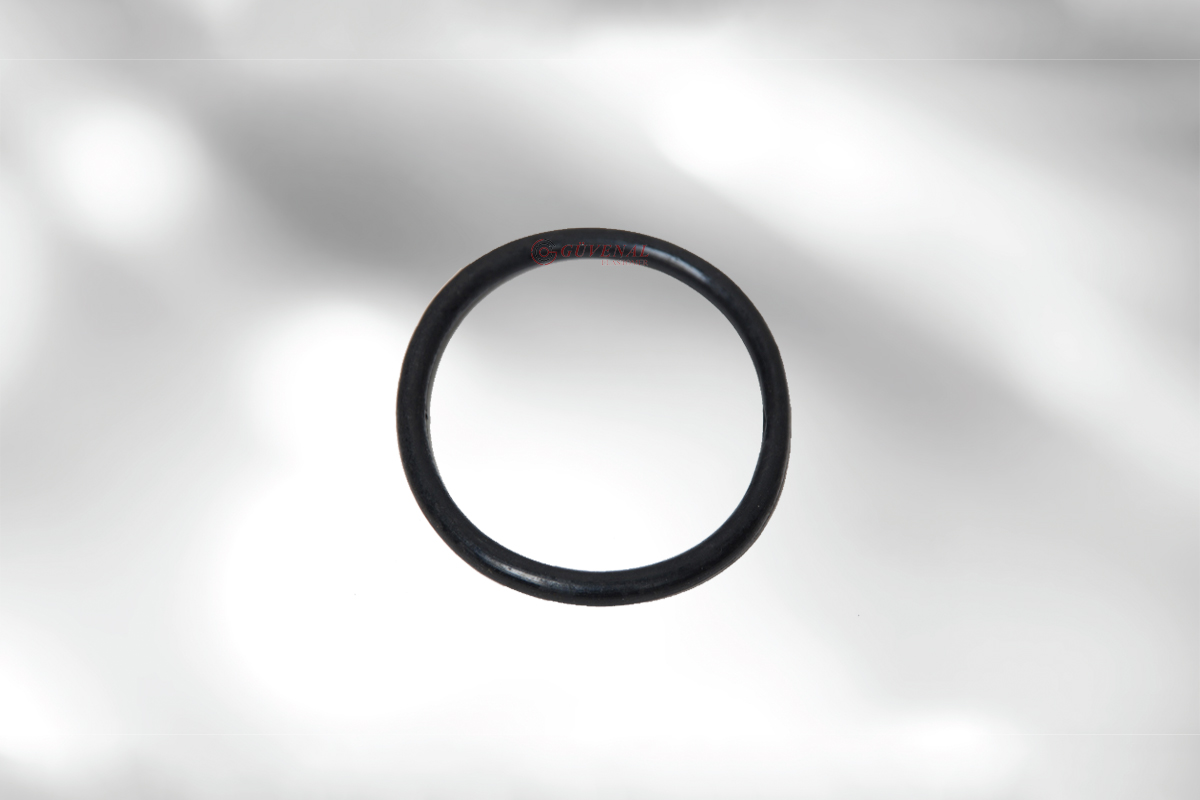 O-Ring