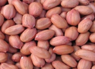 Raw Peanuts