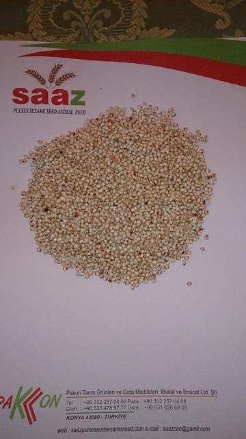Ukraine Origin White Sorghum
