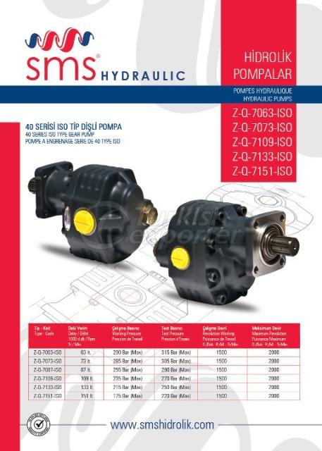 40 SERIES ISO CONNECTION GEAR PUMPS