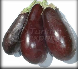 Eggplant