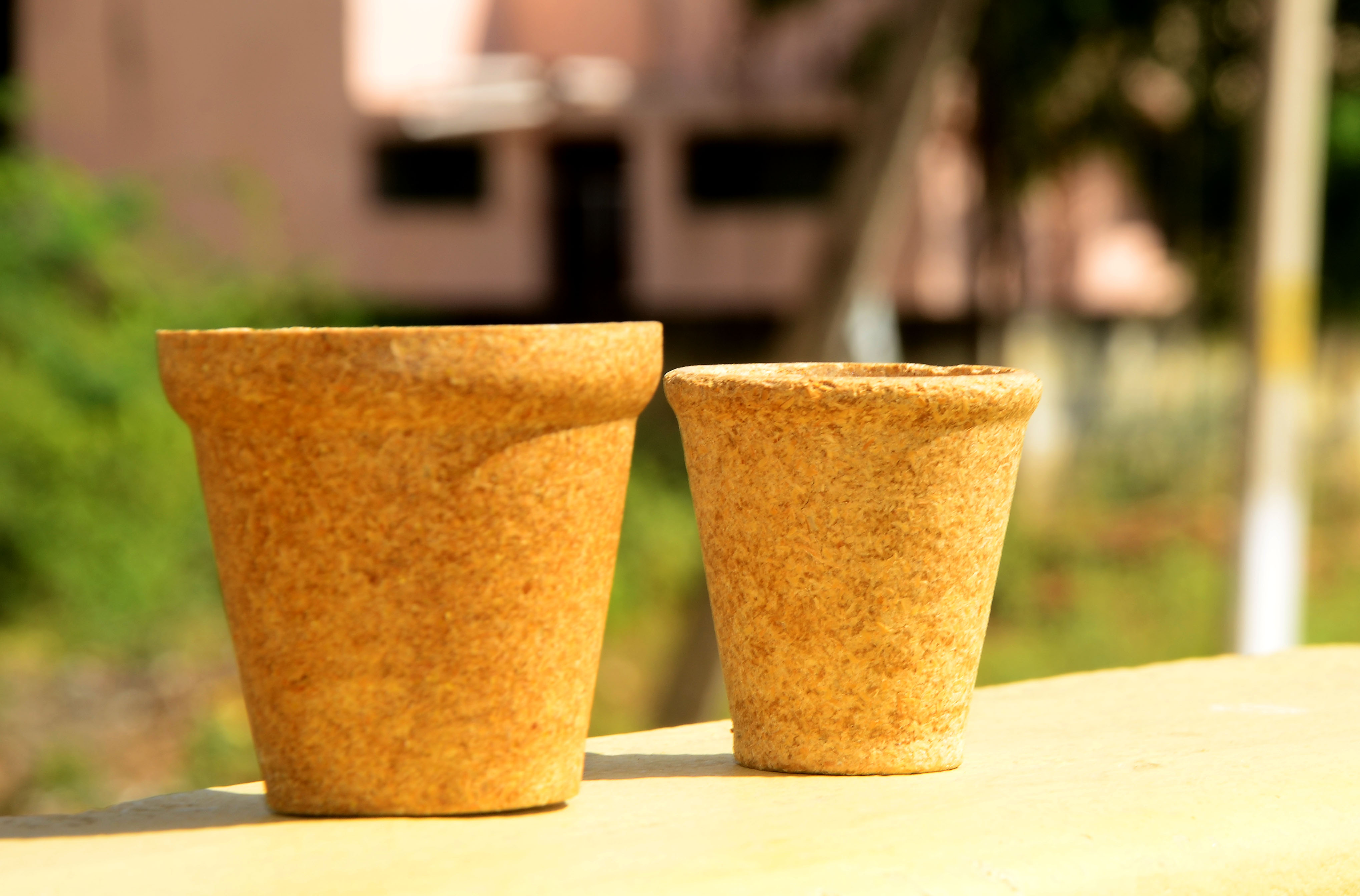 100ml Tea/Coffee Bio Cup