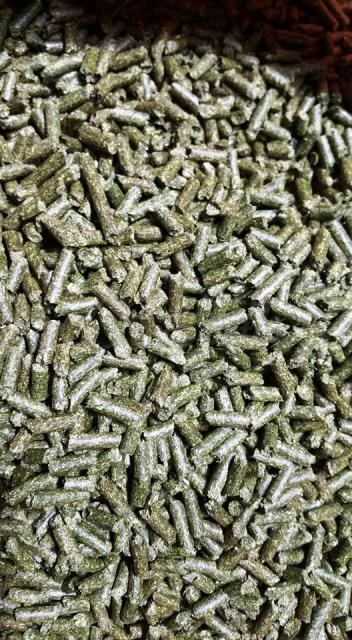 Alfalfa pellet