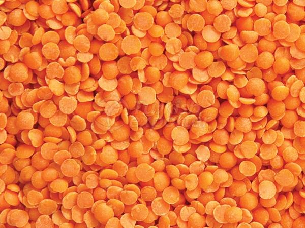 Red Lentil