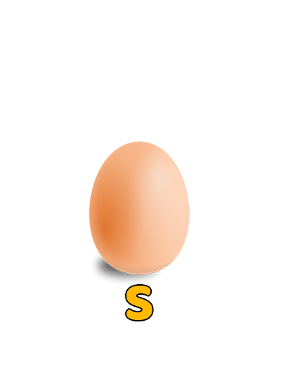 S Size Egg