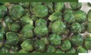 Brussel Sprouts