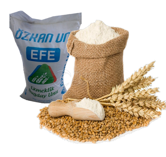 Efe Bread Flour