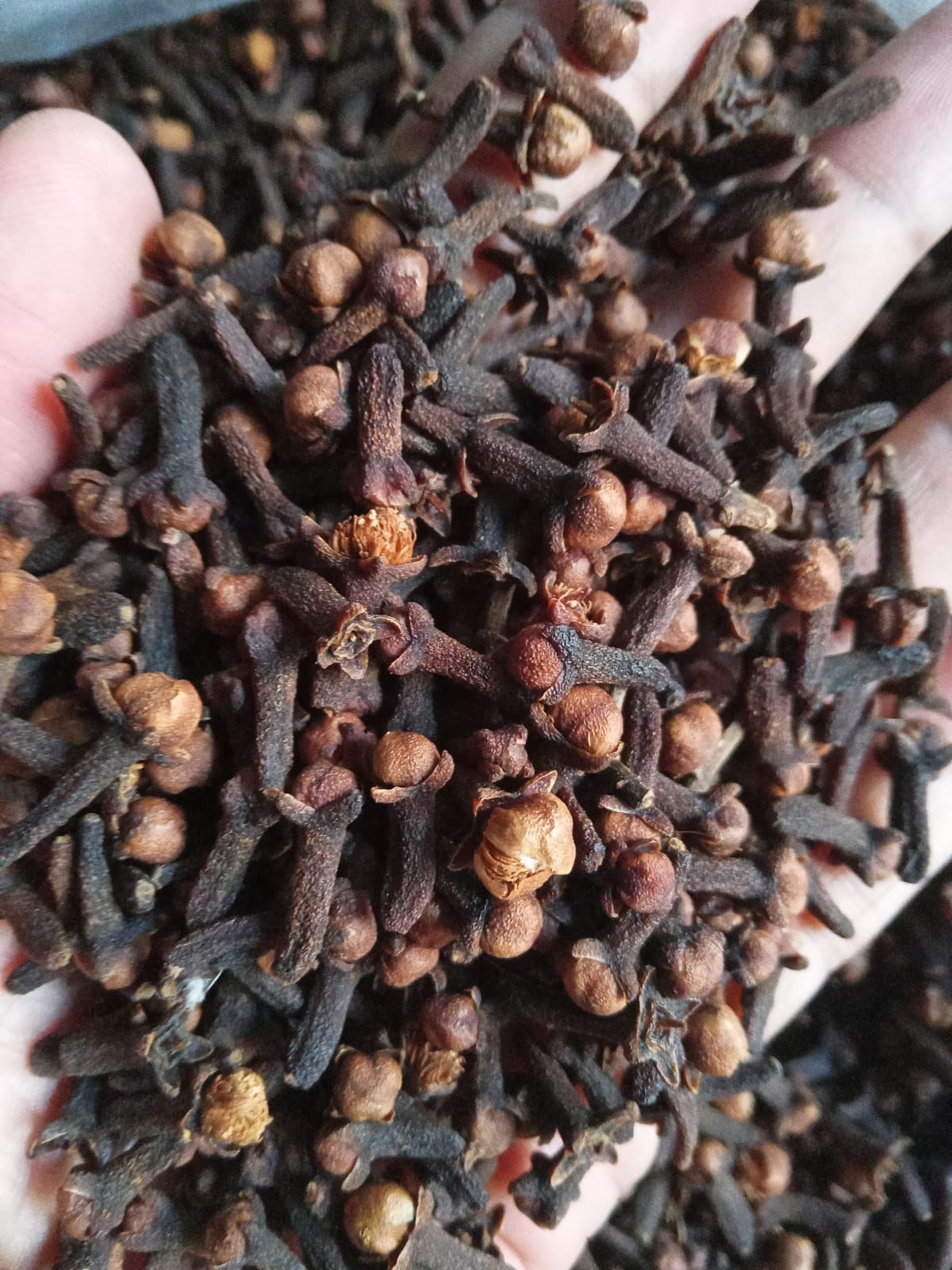 Cloves