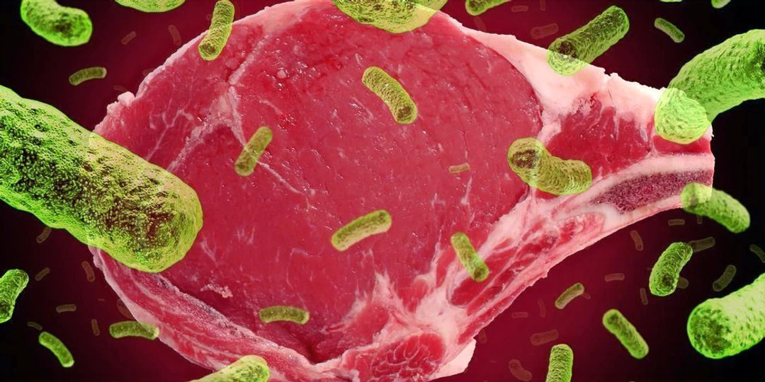 SALMONELLA ÖNLEYİCİLER