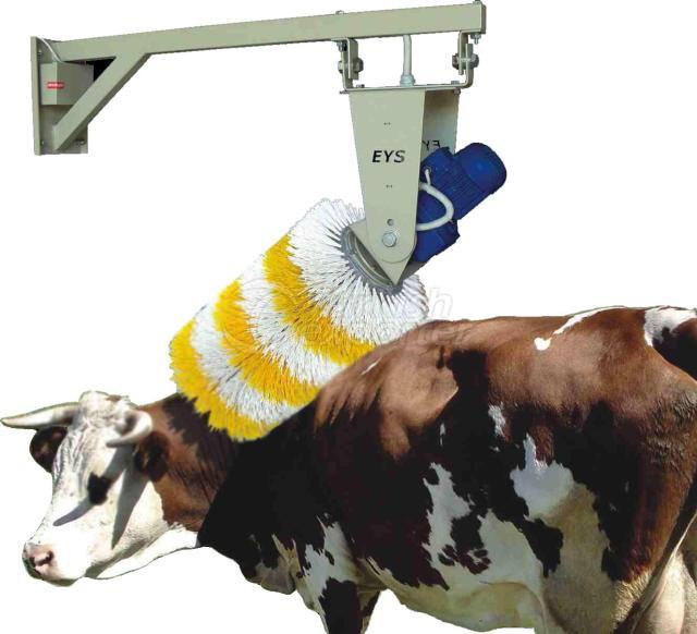 Cow Brush