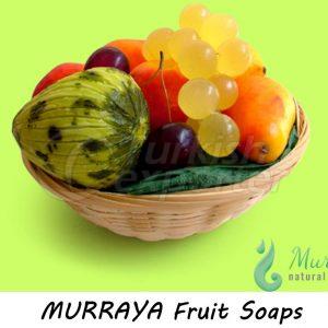 Fruit Soaps