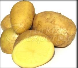 Potatoes