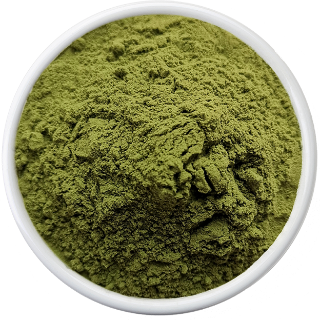 Green Seaweed Extract Fertilizer - Ascophyllum Nodosum Extract