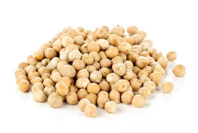 Chickpea