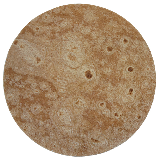 Whole Wheat Tortilla