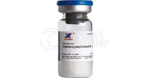 Recombinant Carboxypeptidase B