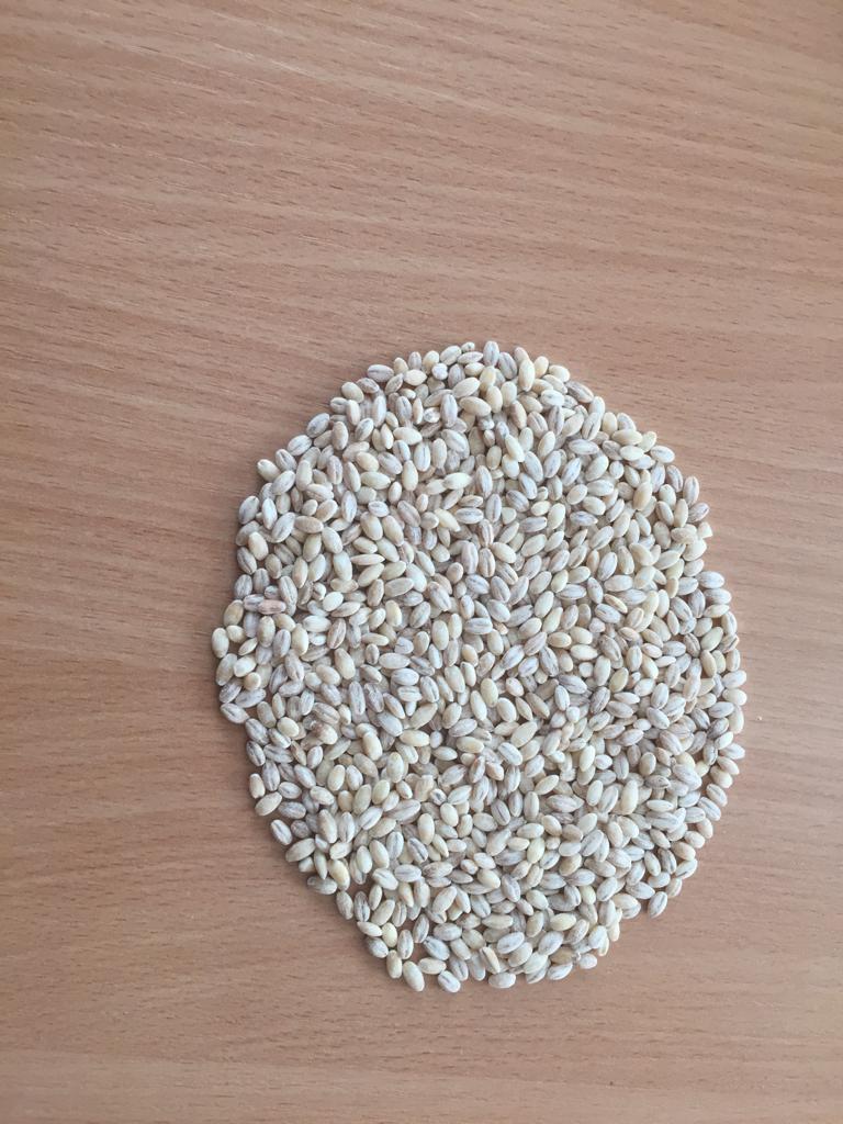 Pearl barley