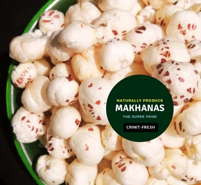 Makhana Foxnut Lotus Seed