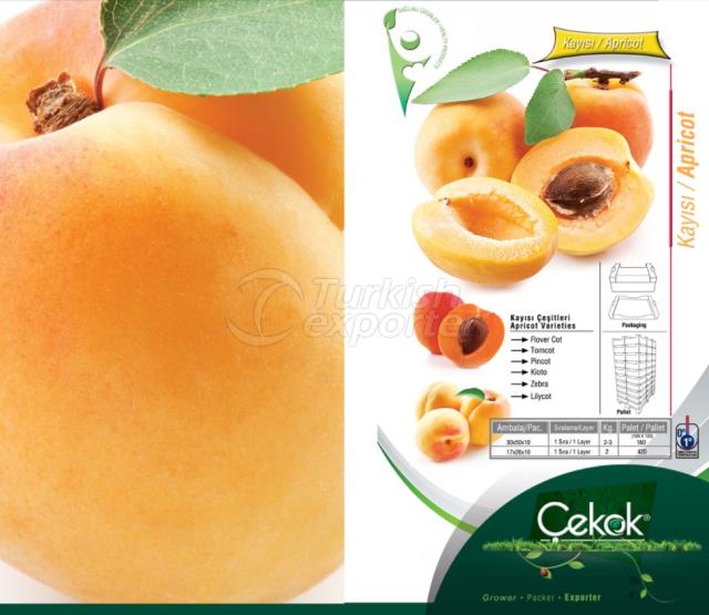Apricot