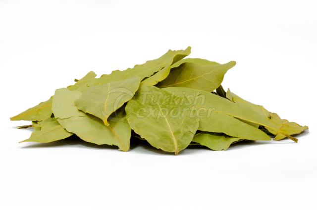 BAY LEAVES