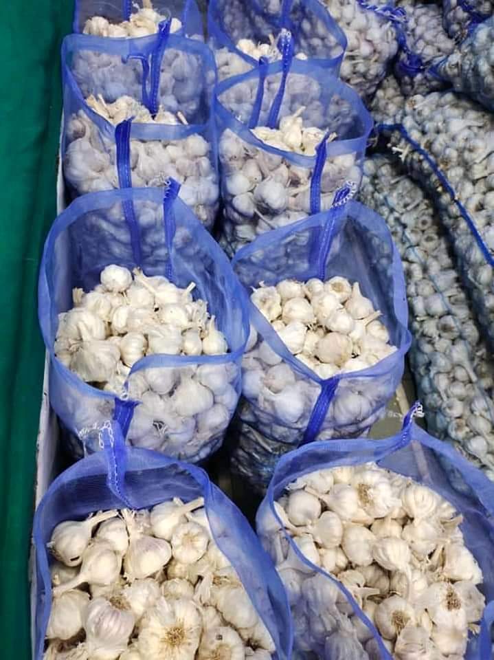 Fresh garlic