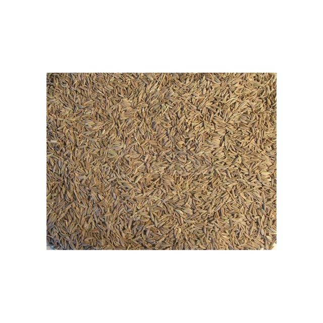 Cumin Seeds