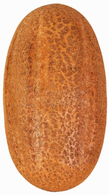 Village Type Bread 400 gr