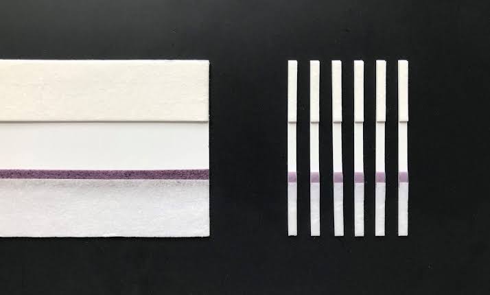 Lateral Flow Immunoassay Uncut Sheet 